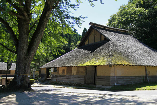 もののけ姫のたたらばに子供がいないのなぜで姫の役割はなに 歌の意味やハンセン病患者がモデルか調査 ハルプラス